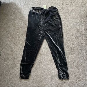 Anthropologie Black Velvet Pants with Bow Accent